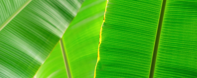 Similar image 21750399