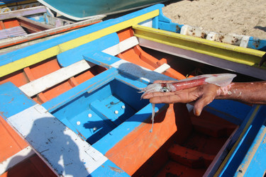 Similar image 21747135