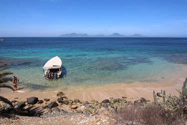 Similar image 21747138