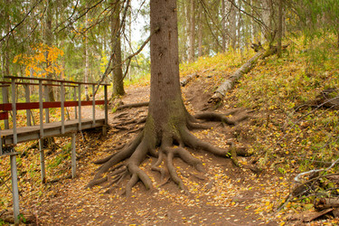 Similar image 21743803