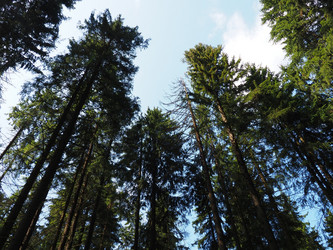 Similar image 21722862