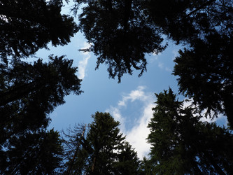 Similar image 21722863