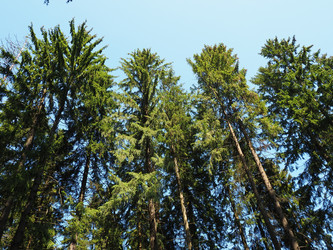 Similar image 21722864