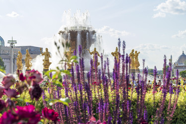 Similar image 21746962