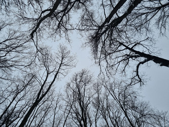 Similar image 21743805