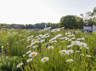 Similar image 21748014