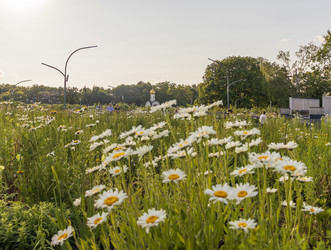 Similar image 21748016