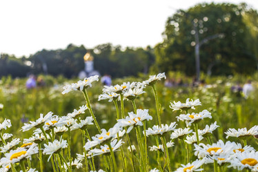 Similar image 21748017