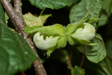 Similar image 21744460