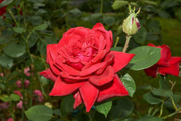 Similar image 21744461