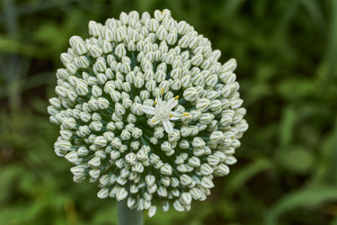 Similar image 21744462