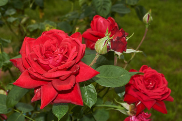 Similar image 21744463