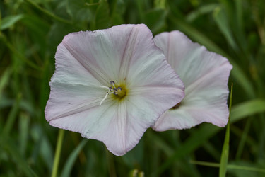 Similar image 21744466