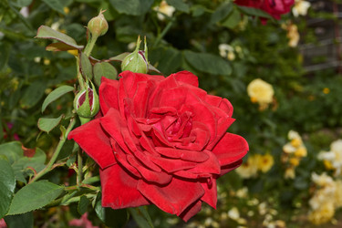 Similar image 21744467