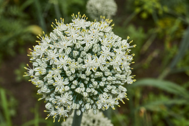 Similar image 21744468