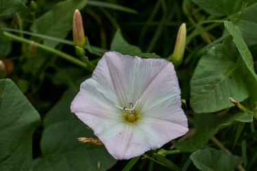 Similar image 21744470