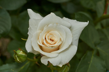 Similar image 21744471