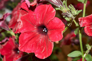 Similar image 21744472