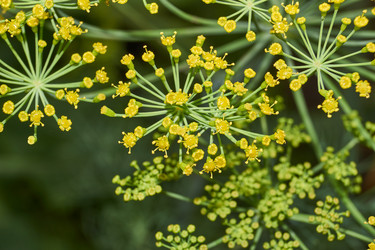 Similar image 21744474