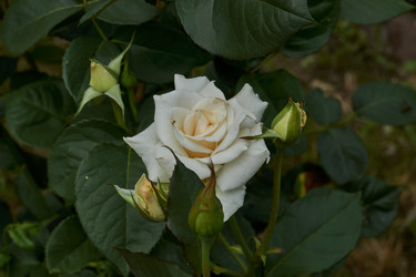 Similar image 21744475