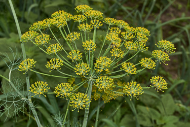 Similar image 21744476