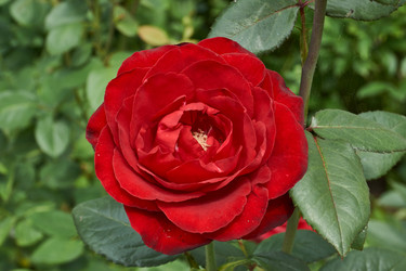 Similar image 21744477