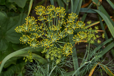 Similar image 21744478