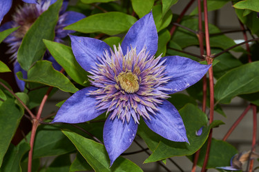 Similar image 21744619