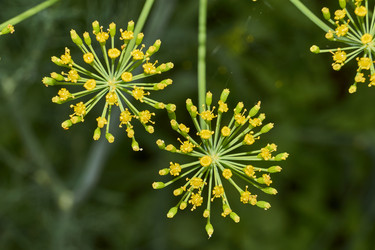 Similar image 21744620