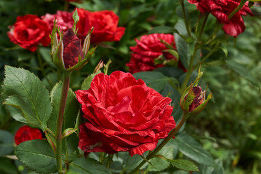 Similar image 21744621