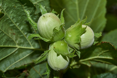 Similar image 21744624