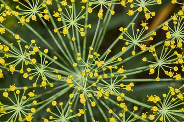 Similar image 21744628