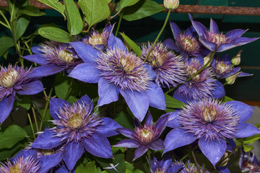 Similar image 21744629