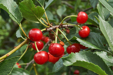 Similar image 21744631