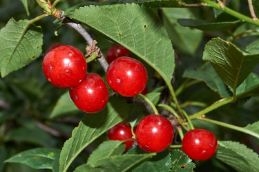 Similar image 21744633