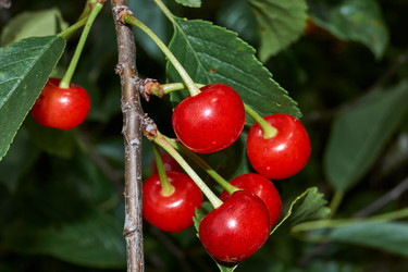 Similar image 21744635