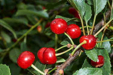 Similar image 21744720