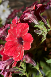 Similar image 21744721