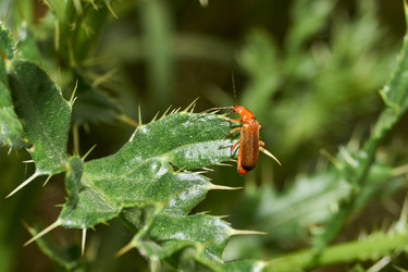 Similar image 21744723