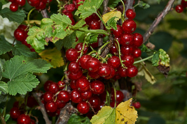 Similar image 21744724