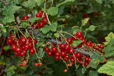 Similar image 21744725