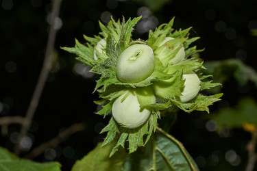 Similar image 21744727