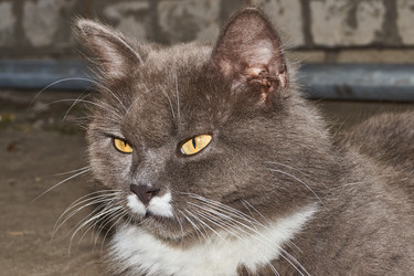 Similar image 21744729