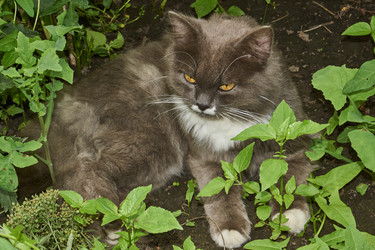 Similar image 21744731