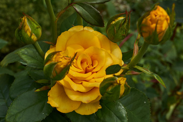 Similar image 21744734