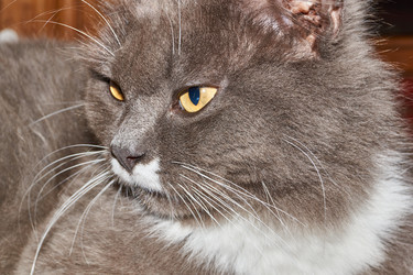 Similar image 21744735