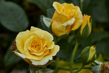 Similar image 21744736