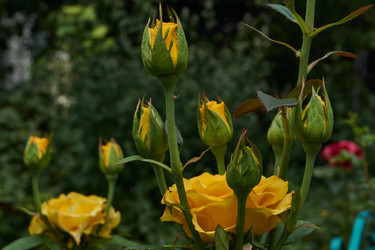 Similar image 21744738