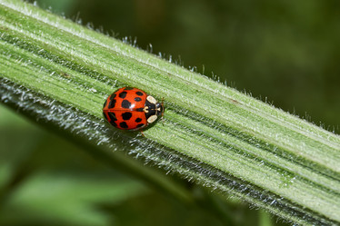 Similar image 21744739