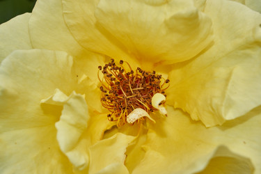 Similar image 21744741